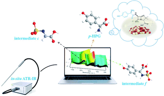 Graphical abstract: An in-depth mechanistic study of the p-hydroxyphenylglycine synthetic process using in situ ATR-IR spectroscopy