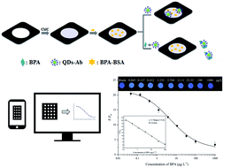 Graphical abstract: A paper-analytical device for detecting bisphenol-A in foods