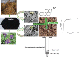 Graphical abstract: Removing BaP from soil by biochar prepared with medicago and corn straw using batch and solid-phase extraction method