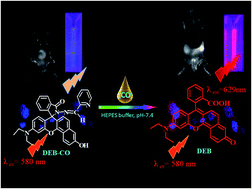 Graphical abstract: A new metal-free benzorhodol-based photoluminophore selective for carbon monoxide detection applicable in both in vitro and in vivo bioimaging