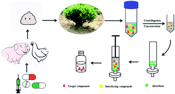 Graphical abstract: Syringe purification with UPLC-MS/MS for detection of antibiotics in tea garden soil after long-term application of manure