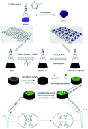 Graphical abstract: A highly selective molecularly imprinted electrochemical sensor with anti-interference based on GO/ZIF-67/AgNPs for the detection of p-cresol in a water environment