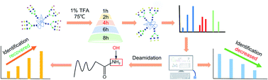 Graphical abstract: De-sialylation of glycopeptides by acid treatment: enhancing sialic acid removal without reducing the identification