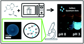 Graphical abstract: Direct measurement of the pH of aerosol particles using carbon quantum dots