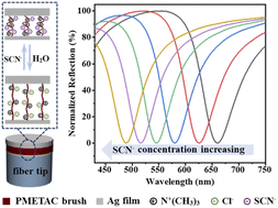 Graphical abstract: A portable and miniaturized lab-on-fiber sensor based on a responsive Fabry–Perot resonance cavity for the detection of thiocyanate