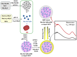 Graphical abstract: A mesoporous silica-based probe with a molecularly imprinted polymer recognition and Mn:ZnS QDs@rhodamine B ratiometric fluorescence sensing strategy for the analysis of 4-nitrophenol