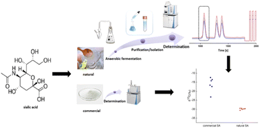 Graphical abstract: Stable isotope ratio analysis of carbon to distinguish sialic acid from freshly stewed bird's nest products