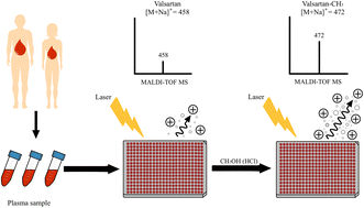 Graphical abstract: Rapid methylation of valsartan in human plasma using evaporative derivatization reagent to improve its sensitivity in MALDI-TOF mass spectrometry