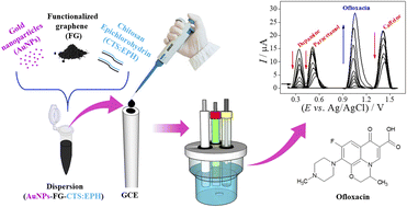 Graphical abstract: Determination of ofloxacin in the presence of dopamine, paracetamol, and caffeine using a glassy carbon electrode based on carbon nanomaterials and gold nanoparticles