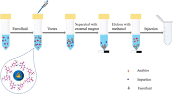 Graphical abstract: Application of ComplexGAPI for the green assessment of a deep eutectic solvent-based ferrofluid assisted liquid–liquid microextraction method for detection of dimethyl phthalate in beverage samples