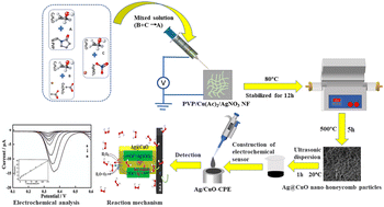 Graphical abstract: Synthesis of honeycomb Ag@CuO nanoparticles and their application as a highly sensitive and electrocatalytically active hydrogen peroxide sensor material