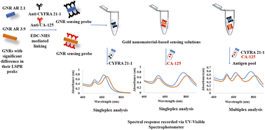 Graphical abstract: Gold nanorod-based multiplex bioanalytical assay for the detection of CYFRA 21-1 and CA-125: towards oral cancer diagnostics