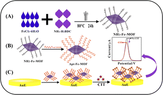 Graphical abstract: A label-free electrochemical aptasensor based on NH2-MIL-235(Fe) for the sensitive detection of citrinin