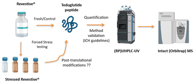 Graphical abstract: Method for identification and quantification of intact teduglutide peptide using (RP)UHPLC-UV-(HESI/ORBITRAP)MS