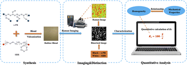 Graphical abstract: Quantitative analysis of s-PB/SBR blend dispersion morphology using computer image processing-assisted Raman spectroscopic techniques