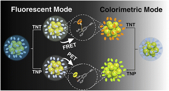 Graphical abstract: Polyethyleneimine-capped copper nanoclusters for detection and discrimination of 2,4,6-trinitrotoluene and 2,4,6-trinitrophenol