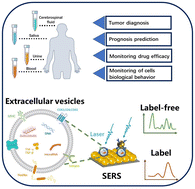 Graphical abstract: Recent progress in surface-enhanced Raman spectroscopy-based biosensors for the detection of extracellular vesicles