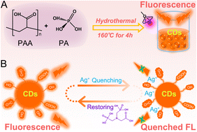 Graphical abstract: Orange-fluorescence carbon dots employed for the quantitative analysis of silver ions and glyphosine through the off–on mode