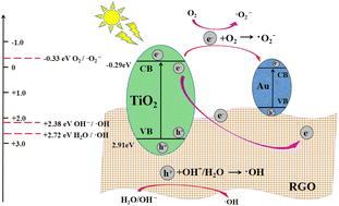 Graphical abstract: Preparation of Au-RGO/TiO2 nanotubes and study on the photocatalytic degradation of ciprofloxacin