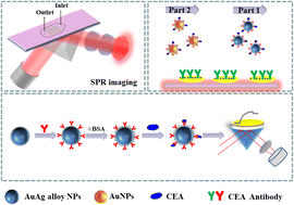 Graphical abstract: Detection of carcinoembryonic antigens using a wavy gold–silver alloy nanoplate enhanced surface plasmon resonance imaging biosensor