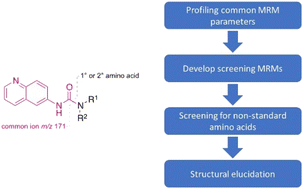 Graphical abstract: A novel screening method for free non-standard amino acids in human plasma samples using AccQ·Tag reagents and LC-MS/MS