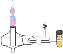 Graphical abstract: Analysis of urine by MIP-OES: challenges and strategies to correct matrix effects