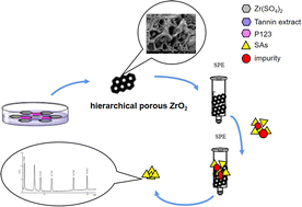 Graphical abstract: Synthesis of hierarchical porous zirconium dioxide and its application in the detection of sulfonamides in animal-derived food