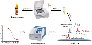 Graphical abstract: Development of a highly sensitive immunoassay for detecting aminopyrine abuse in herbal tea