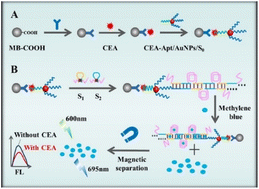 Graphical abstract: A methylene blue-functionalized DNA concatemer for the construction of a turn-off fluorescent immunosensor for the sensitive detection of carcinoembryonic antigen