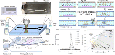 Graphical abstract: Enzyme-linked immunosorbent assay using thin-layered microfluidics with perfect capture of the target protein