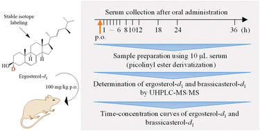 Graphical abstract: Simultaneous determination of deuterium-labeled ergosterol and brassicasterol in stroke-prone spontaneously hypertensive rats by ultra-high performance liquid chromatography-electrospray ionization-tandem mass spectrometry