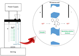 Graphical abstract: An electromembrane microextraction-based green method for the determination of trace copper in natural waters