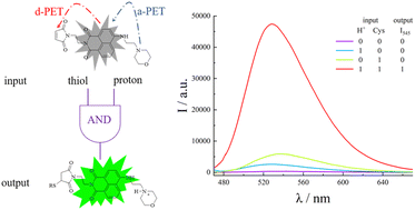 Graphical abstract: Fluorescent “AND” logic gates for simultaneous detection of thiols and protons: photophysical properties, mechanism and bioimaging of living cells