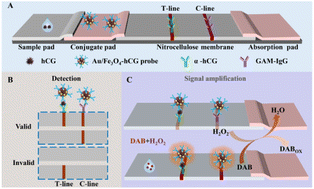 Graphical abstract: Au/Fe3O4-based nanozymes with peroxidase-like activity integrated in immunochromatographic strips for highly-sensitive biomarker detection