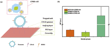 Graphical abstract: Metal nanoprobe-decorated all-inorganic perovskite nanocrystal-based fluorescence-linked immunosorbent assay for the detection of tumor-derived exosomes