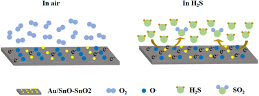 Graphical abstract: An Au/SnO–SnO2 nanosheet based composite used for rapid detection of hydrogen sulphide