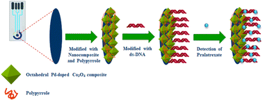 Graphical abstract: A novel and ultrasensitive electrochemical DNA biosensor for pralatrexate detection
