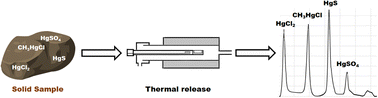 Graphical abstract: Preliminary exploration of direct mercury speciation in solid samples by using thermal release coupled to electrothermal atomic absorption spectrometry