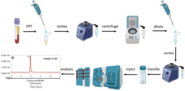 Graphical abstract: Rapid determination of plasma vigabatrin by LC-ESI-MS/MS supporting therapeutic drug monitoring in children with infantile spasms