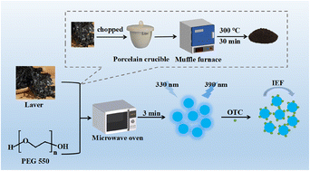 Graphical abstract: Green and rapid synthesis of biomass carbon dot-based fluorescence sensing for the sensitive determination of oxytetracycline