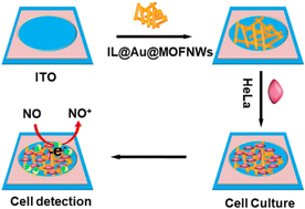 Graphical abstract: Ionic liquid functionalized metal–organic framework nanowires for sensitive and real-time electrochemical monitoring of nitric oxide released from living cells