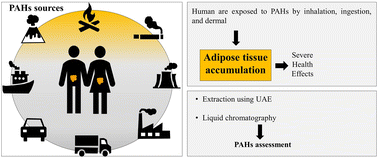 Graphical abstract: Optimization of a simple, effective, and greener methodology for polycyclic aromatic hydrocarbon extraction from human adipose tissue