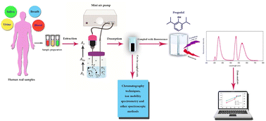 Graphical abstract: Dynamic headspace solid-phase extraction at room temperature: a theoretical model, method, and application for propofol analysis