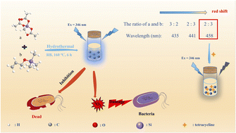 Graphical abstract: The preparation of hybrid silicon quantum dots by one-step synthesis for tetracycline detection and antibacterial applications