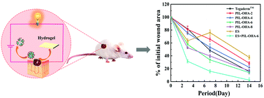 Graphical abstract: Ionic liquid functionalized injectable and conductive hyaluronic acid hydrogels for the efficient repair of diabetic wounds under electrical stimulation