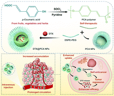 Graphical abstract: Development of poly(p-coumaric acid) as a self-anticancer nanocarrier for efficient and biosafe cancer therapy