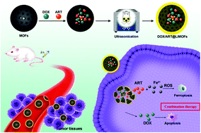 Graphical abstract: Amplification of ferroptosis with a liposomal nanoreactor cooperates with low-toxicity doxorubicin apoptosis for enhanced tumor chemotherapy