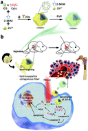 Graphical abstract: Bone-targeted ICG/Cyt c@ZZF-8 nanoparticles based on the zeolitic imidazolate framework-8: a new synergistic photodynamic and protein therapy for bone metastasis
