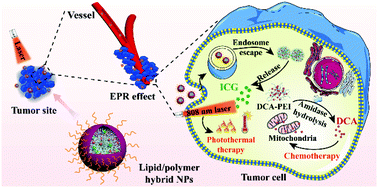 Graphical abstract: An enzyme-responsive and NIR-triggered lipid–polymer hybrid nanoplatform for synergistic photothermal/chemo cancer therapy