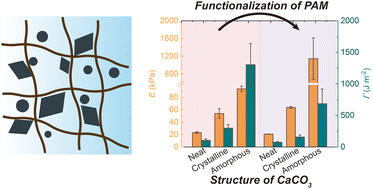 Graphical abstract: Reinforcing hydrogels with in situ formed amorphous CaCO3